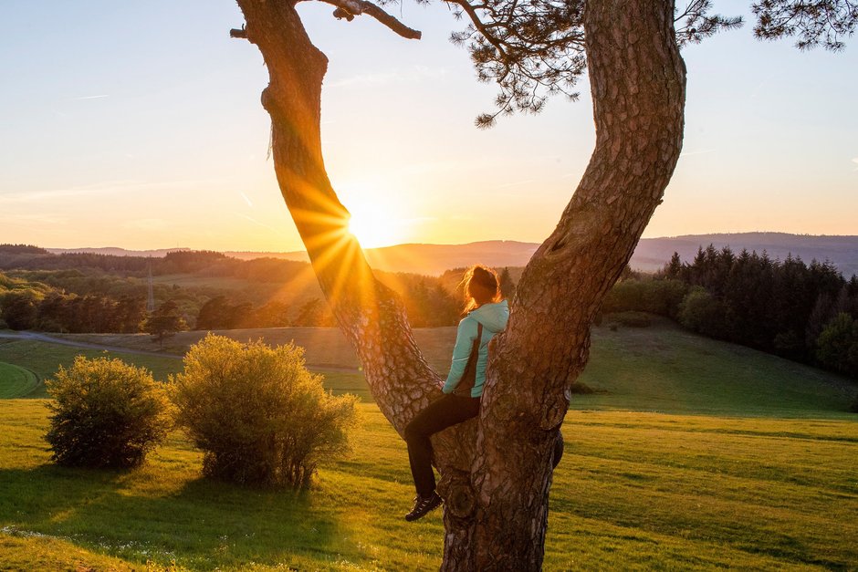 Zeit für sich – Naturerlebnisse für Körper und Seele im Sauerland Frau sitzt auf einem Baum und blickt in den Sonnenuntergang über Wiesen